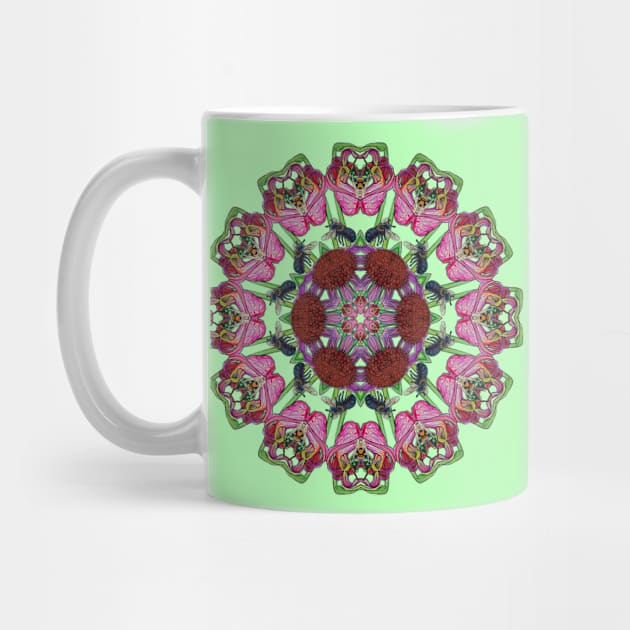 Carolinian Wildflowers Kaleidoscope by ThisIsNotAnImageOfLoss